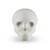 Shaker LP Skull Wh en internet