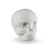 Shaker LP Skull Wh