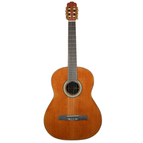 Cómo saber si una guitarra es buena y qué tipo conviene para tu estilo musical.