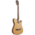 Electrocriolla Ibanez FRH10N Nylon NT