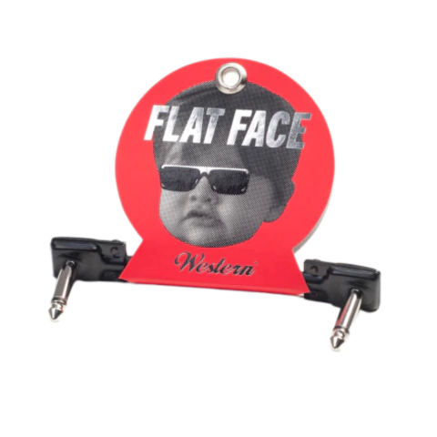 Cable Western Flat Patch 25 CM (Interpedal)