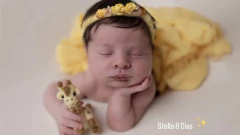 Girafinha Feltrado - comprar online