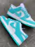 NIKE SB DUNK LOW na internet