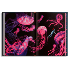 Libro La Sirenita - CREANDO Juguetes