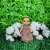 VESTIDO BABY PIED DE POULE (DIVERSAS CORES) on internet
