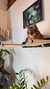 Cama hamaca Colgante Para Gatos para Pared