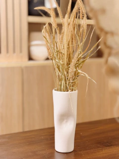 JARRON PIA en internet