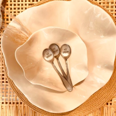 CUCHARA ICECREAM - comprar online