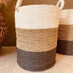 CANASTO LORDEY en internet