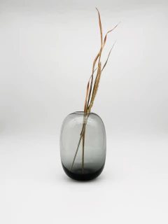 JARRON SISLEY en internet