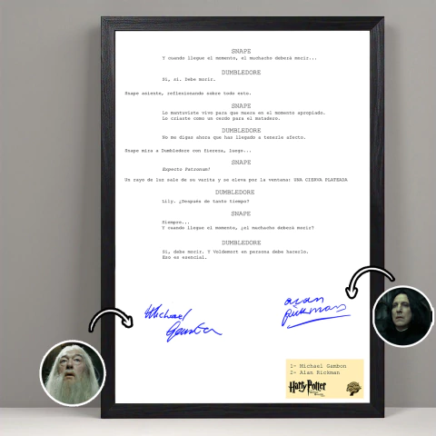 Después de todo este tiempo... - Cuadro Escena Harry Potter - comprar online