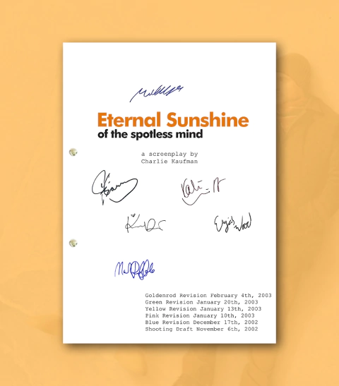 Eternal Sunshine of the Spotless Mind