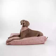 Cama Jack T.S | Tusor
