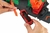 Pista Epica de Dragón - Hot Wheels - Tierra de Juguetes