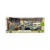 Set Militar - Grande