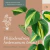 Imagen de Philodendron hederaceum 'brasil' - Cordatum