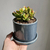 Imagen de Cilindro Chico Ceramica con plato
