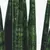 Combo Sansevieria + Maceta Milán - comprar online