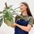 Philodendron Squamiferum - comprar online