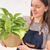 Epipremnum aureum Neon - Potus Lemon - comprar online
