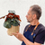 Begonia erythrophylla - Redonda - comprar online