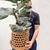 Porta maceta Seagrass Red