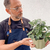 Pilea Cadierei - comprar online