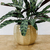 Maceta Flora XL - tienda online