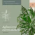 Aglaonema commutatum Lawan - Casa Selvática