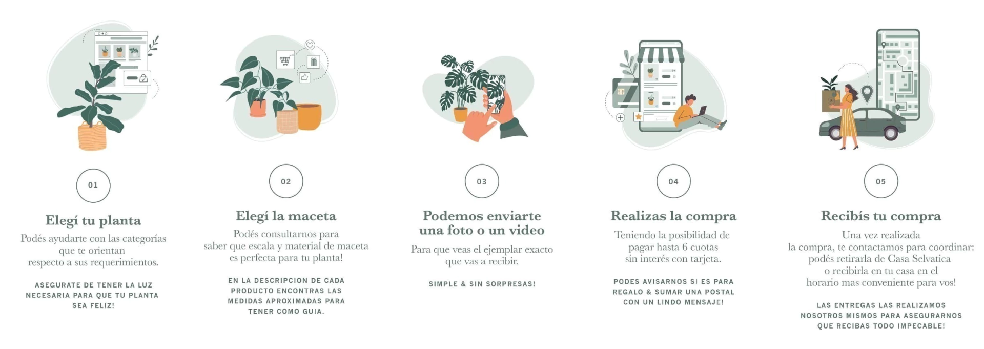 Procesos de compra  Casa Selvática