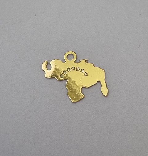 DIJE MEDIANO MAPA DE VENEZUELA - DI81