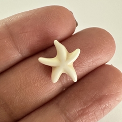 PASANTE ESTRELLA DE MAR - PI181 en internet