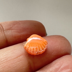 CERAMICA OSTRA NARANJA - UND - CE232 - comprar online