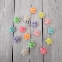 ROSITA PASTEL PAQ.30 - PL21