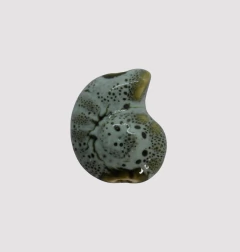 CERAMICA BUZIO ESPIRAL 20mm AGUA - UND - CE306 - comprar online