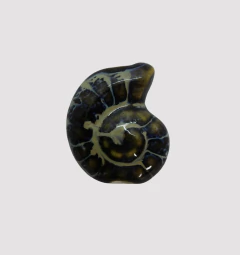CERAMICA BUZIO ESPIRAL 20mm BEIGE Y AZUL- UND - CE307 - comprar online