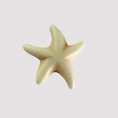 PASANTE ESTRELLA DE MAR - PI181