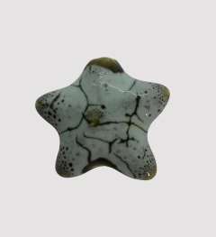 CERAMICA ESTRELLA DE MAR AGUA - UND - CE301 - comprar online