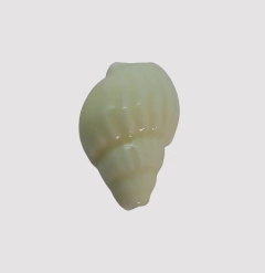 CERAMICA BUZIO LARGO BLANCO CREMA - UND - CE292 - comprar online