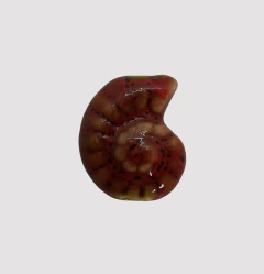 CERAMICA BUZIO ESPIRAL 20mm ROJO - UND - CE303 - comprar online