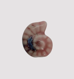 CERAMICA BUZIO ESPIRAL 20mm ROSA - UND - CE304 - comprar online