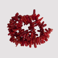CORAL PALITO - TIRA 40cm - PI48 - comprar online
