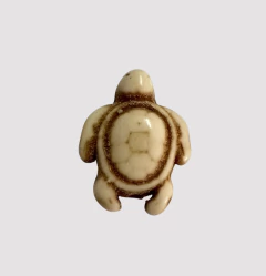 PASANTE TORTUGA - PI187
