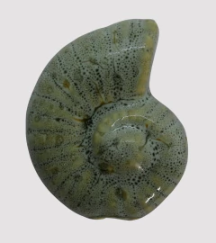 CERAMICA BUZIO ESPIRAL 41mm AGUA - UND - CE312 - comprar online