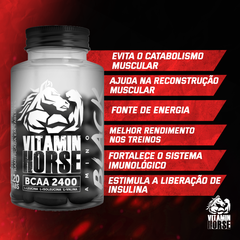 Combo Ganho de Massa - Massa + Bcaa + Creatina - Vitamin Horse