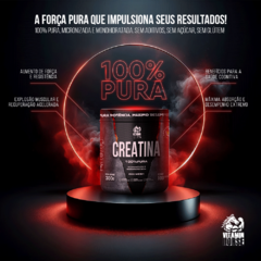 Creatina 100% Pura 300g - Vitamin Horse na internet