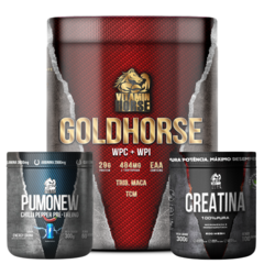 Combo New Gold Horse 907g + Pumonew 300g + Creatina 100% Pura 300g - Vitamin Horse
