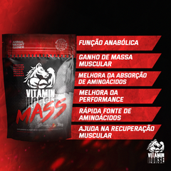 Combo Ganho de Massa - Massa + Bcaa + Creatina - comprar online