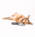Correa Standard Roswell - comprar online