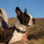Collar Roswell